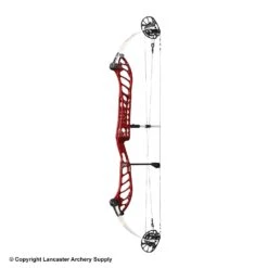 PSE Dominator Duo 40 Compound Target Bow (M2) -Excalibu Bow Shop 1033083 blackcherry