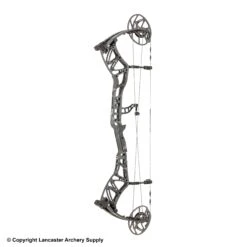 2020 Bear Status EKO Compound Bow -Excalibu Bow Shop 1360271 iron