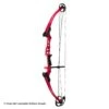 Genesis Archery Mini Genesis Bow (Colors) -Excalibu Bow Shop 1570004 red