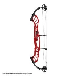 2020 Hoyt Invicta 40 Compound Target Bow (DCX Cam & 1/2) -Excalibu Bow Shop 2561041 red