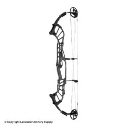2020 Hoyt Invicta 40 Compound Target Bow (DCX Cam & 1/2) -Excalibu Bow Shop 2561041 slate
