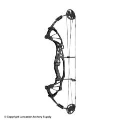 2020 Hoyt FX Comp Compound Target Bow (DCX Cam & 1/2) -Excalibu Bow Shop 2561043 jet