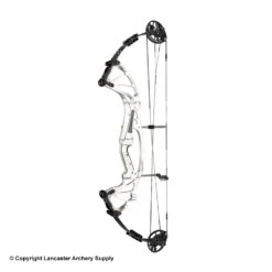 2020 Hoyt FX Comp Compound Target Bow (DCX Cam & 1/2) -Excalibu Bow Shop 2561043 silver