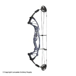 2020 Hoyt FX Comp Compound Target Bow (DCX Cam & 1/2) -Excalibu Bow Shop 2561043 slate