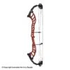 2021 Hoyt Altus 38 Compound Target Bow DCX Cam (Clearance X1033002) 2 2021 Hoyt Altus 38 Compound Target Bow DCX Cam (Clearance X1033002) -Excalibu Bow Shop 2561104 red b98a0041 e937 4a45 8741 20a07f244b34