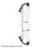 2021 Hoyt Altus 38 Compound Target Bow DCX Cam (Clearance X1033080) 1 2021 Hoyt Altus 38 Compound Target Bow DCX Cam (Clearance X1033080) -Excalibu Bow Shop 2561104 white