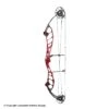 2021 PSE Citation EM Compound Target Bow -Excalibu Bow Shop 3530670