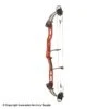 2021 PSE Lazer Target Compound Bow -Excalibu Bow Shop 3530672 blackcherry