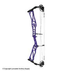 2020 Elite REZULT Target Compound Bow 15 2020 Elite REZULT Target Compound Bow -Excalibu Bow Shop 6530124 purple