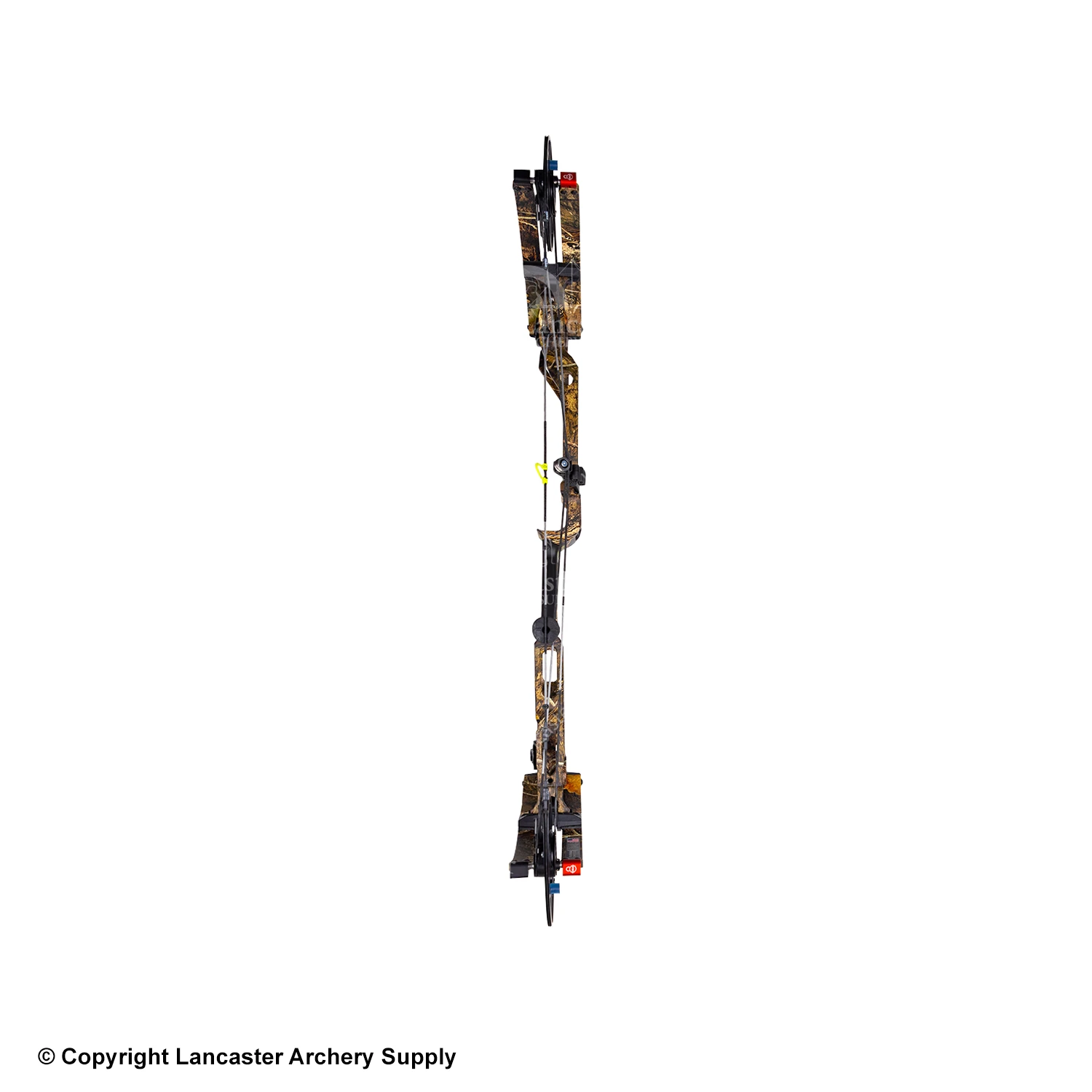 Bowtech CP30 Compound Hunting Bow 6 Bowtech CP30 Compound Hunting Bow - Image 4